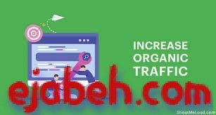 How do I increase organic traffic without SEO expertise?